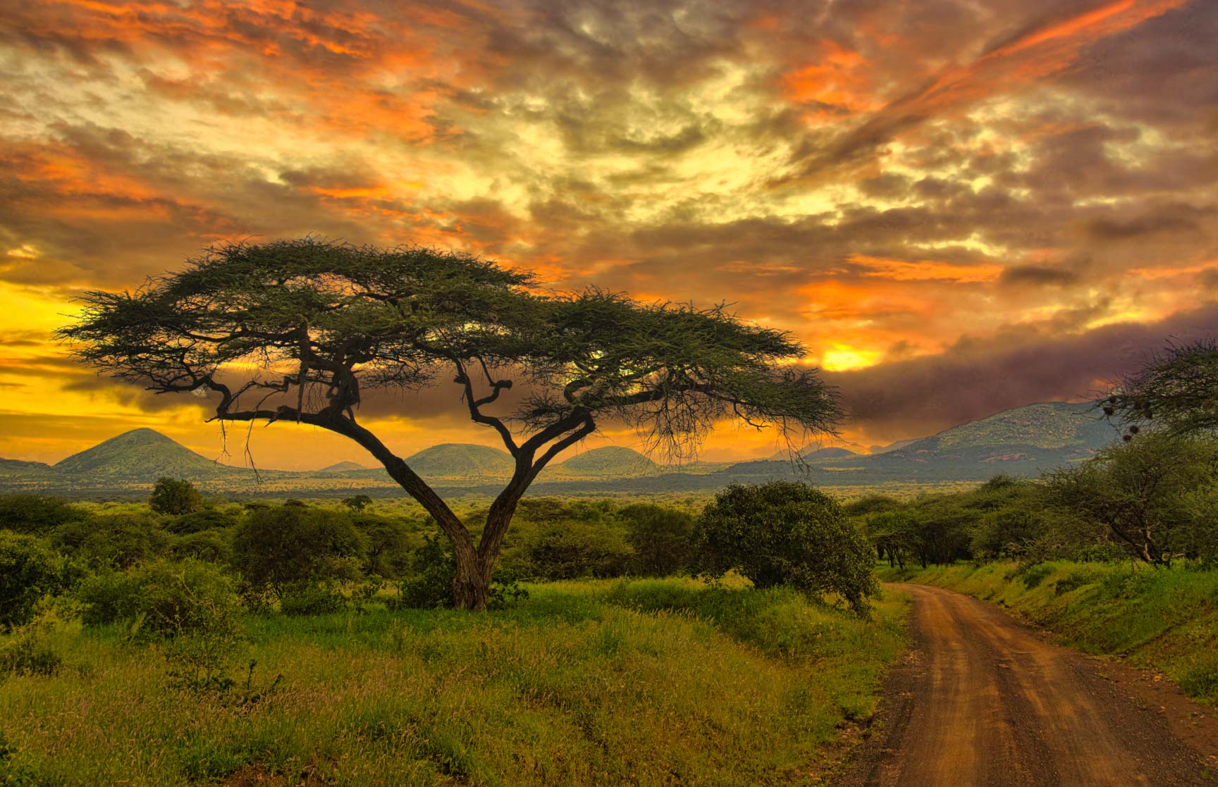kenya